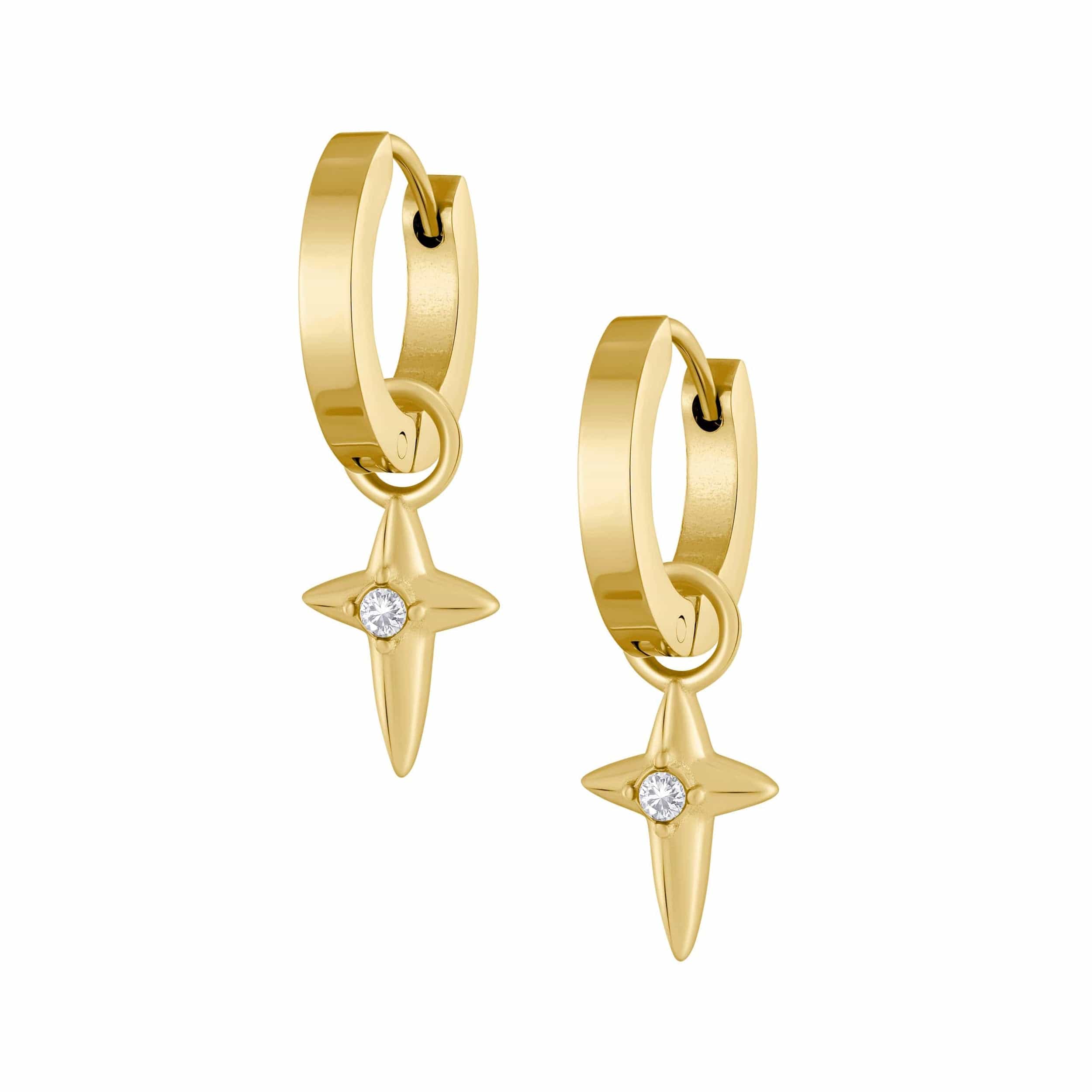 Passion Hoop Earrings
