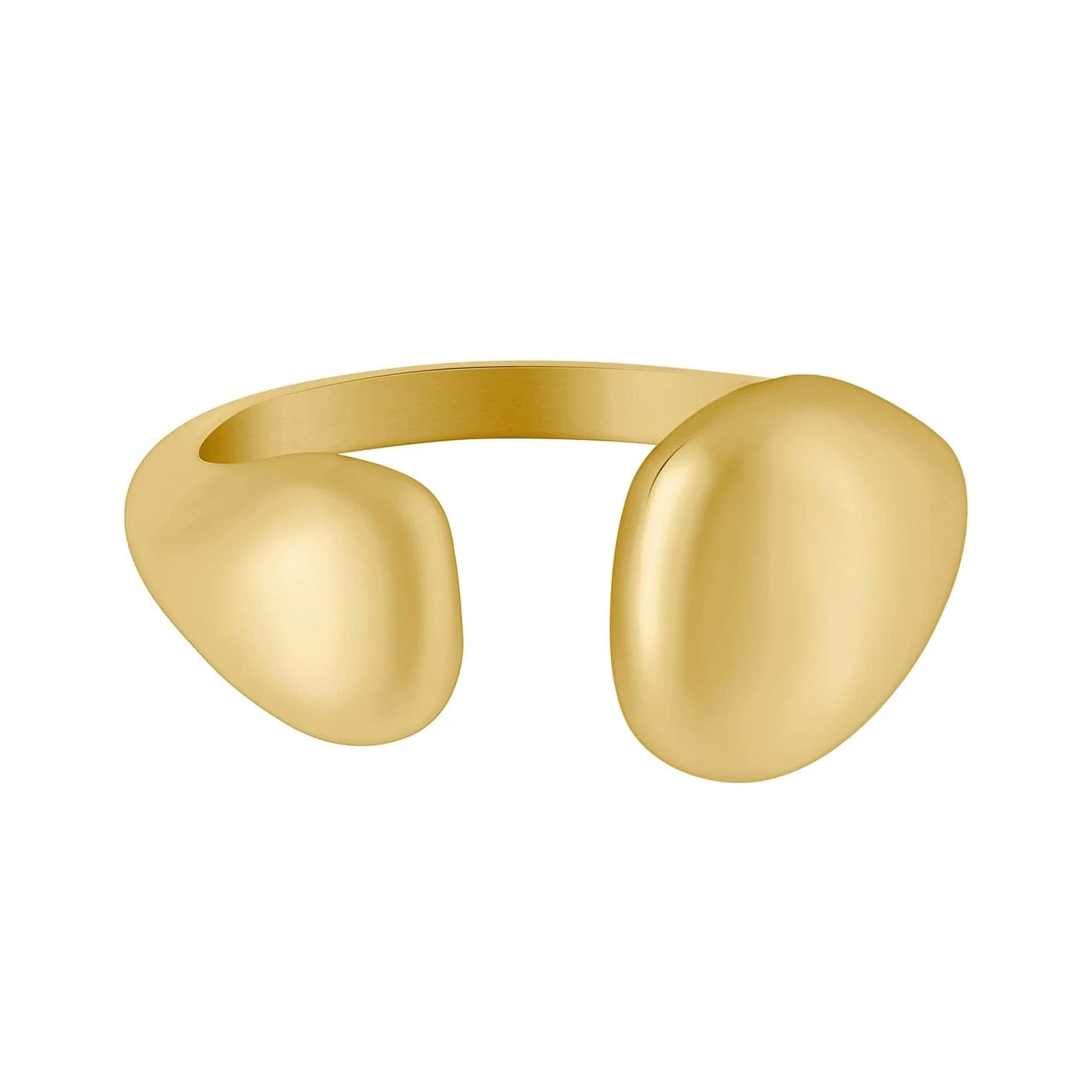 Ronnie Ring